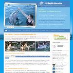 bali-dolphin-interaction.com